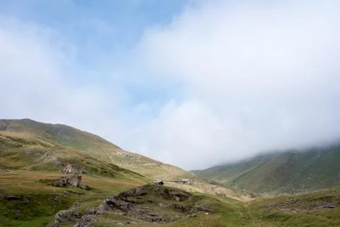 Course of a river in a forest Stock Photos