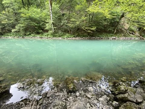 The course of the river Kupa directly below the mountain karst spring - Razloge Stock Photos