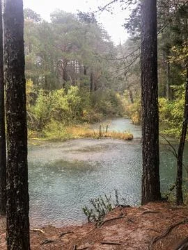 Course of the source of the Cuervo river. Stock Photos