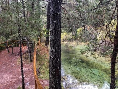 Course of the source of the Cuervo river. 库存照片