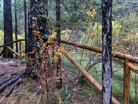 Course of the source of the Cuervo river. Stock Photos