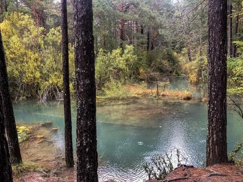 Course of the source of the Cuervo river. Stock Photos