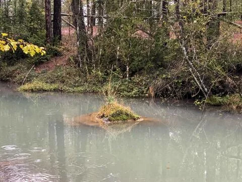 Course of the source of the Cuervo river. Stock Photos