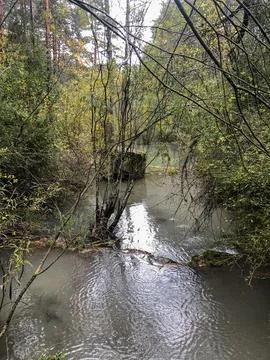 Course of the source of the Cuervo river. Stock Photos
