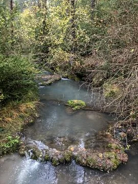 Course of the source of the Cuervo river. Stock Photos