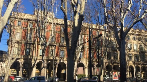 Course with tree-lined avenue with buildings in Turin Italy Stock Footage 101377183