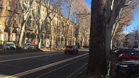 Course with tree-lined avenue with buildings in Turin Italy Stock Footage 101377222