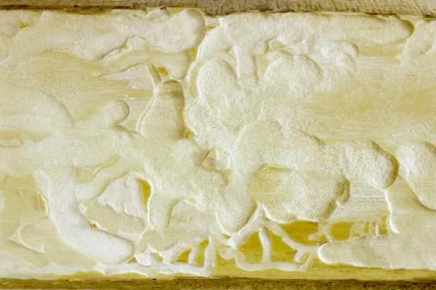 Courses bark beetle 写真素材