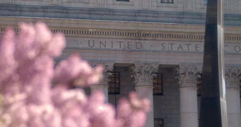 Courthouse Facade Exterior, Generic Close Up, Spring Flowers Stock Footage 238072011