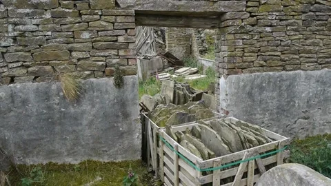 Courtyard 2 Stock Footage 313532614