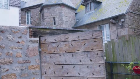 The courtyard, ancient wooden gates and medieval stone buildings on the island. Stock Footage 308194853
