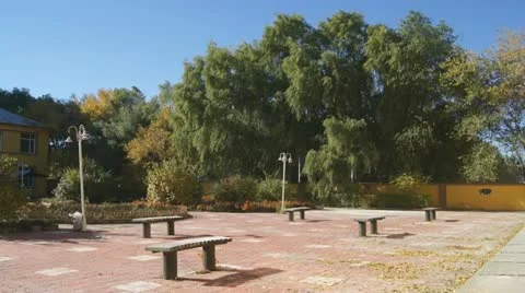 Courtyard with autumn trees 01 Stock Footage 12304567
