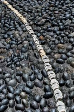 Courtyard Floor With Bone Pattern Stock Photos