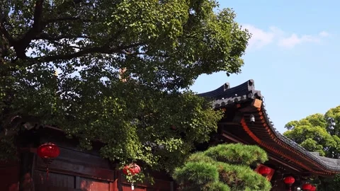 Courtyard landscape of classical Chinese temple architecture Video stock 335852759