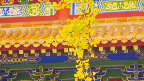 Courtyard landscape of classical Chinese temple architecture Video stock 335852868
