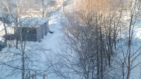 Courtyard by multi-storey buildings in winter with trees, cars and buildings. Stock-Footage 158805475