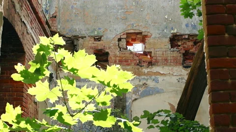 Courtyard of an old building, large Windows, on a background of green plants Video stock 57325083
