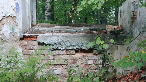 Courtyard of an old building, large Windows, on a background of green plants Stock-Footage 57325194