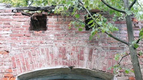 Courtyard of an old building, large Windows, on a background of green plants Видео 57325196