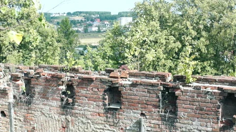 Courtyard of an old building, large Windows, on a background of green plants Stock-Footage 57325238