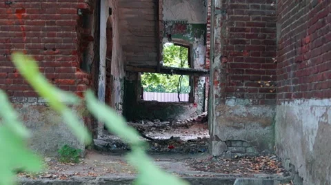 Courtyard of an old building, large Windows, on a background of green plants Stock-Footage 57325247