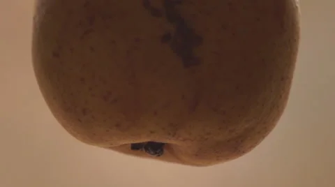 Courtyard, pear Stock Footage 44145162