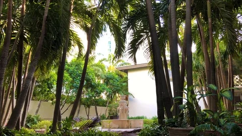 Courtyard Static Stock Footage 86220827