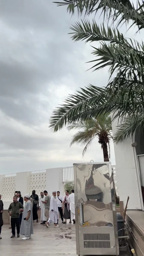 Courtyard View and Palm Trees at Masjid Al Qiblatain Stock-Footage 341529766