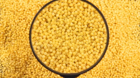 A couscous under the magnifying glass Stock Footage 59529016