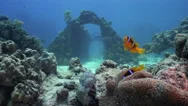 Cousteau's Precontinent, Wreck Of Underwater City - Shaab Rumi, Red Sea, Sudan Stock Footage
