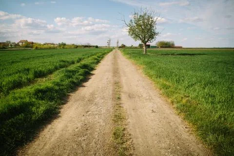 Coutry road Stock Photos