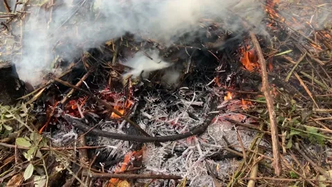 Coutryside fire Video stock 144838708