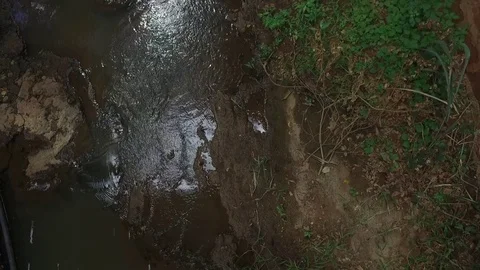 Coutryside River under the Bridge 스톡 동영상 84447230