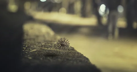 COV 19 floating Stock Footage 140655735