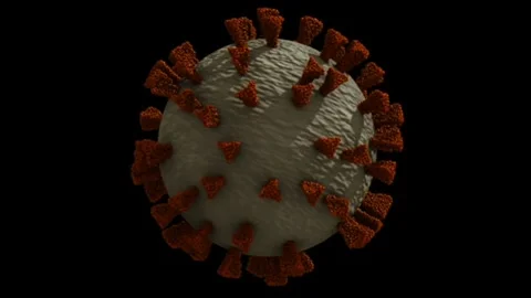 CoV-2 virus 3D animated illustration Video stock 170677225