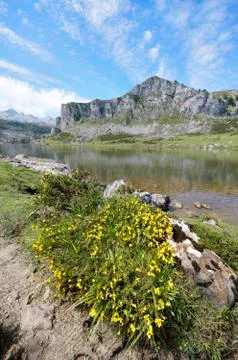 Covadonga Фото