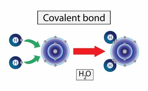 Covalent bond, Covalent bond for example water molecule (H2O) Stock Illustration