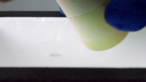 Cover embryo storage gobelet with plastic cap in liquid nitrogen Vidéo 70806803