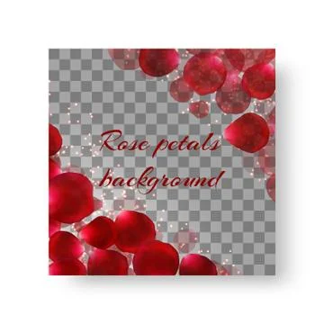 Cover leaflets with rose petals Stock Illustration