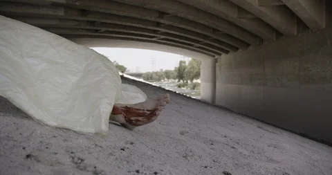 Covered Body Under Bridge LA River Crime Scene Stock Footage 90876453