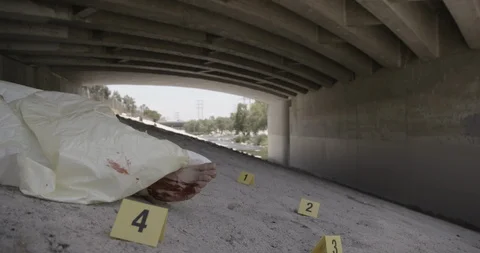 Covered Body Under Bridge Markers Close Up Crime Scene Stock Footage 90876497