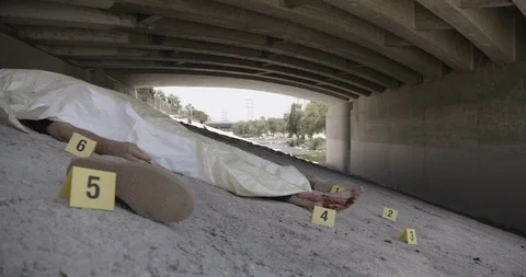 Covered Body Under Bridge Markers Wide Shot Hand Out Crime Scene Stock Footage 90876542