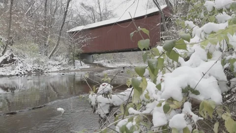 The Covered Bridge 1 Stock Footage 221290095