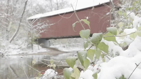 The Covered Bridge 3 Stock Footage 221291961