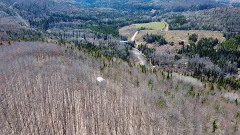 Covered Bridge Crossing Wild River in Quebec Spring Landscape Stock Footage 339277375