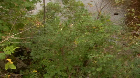 Covered Bridge Stock Footage 5712936