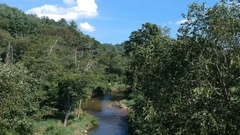 Covered bridge over river 库存影片 113487892