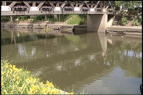 Covered bridge tilt up Video stock 310989