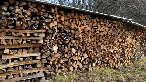 Covered cut timber Stock Footage 231510881