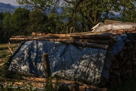 Covered firewood stack stored outdoors in a rural countryside setting 库存照片